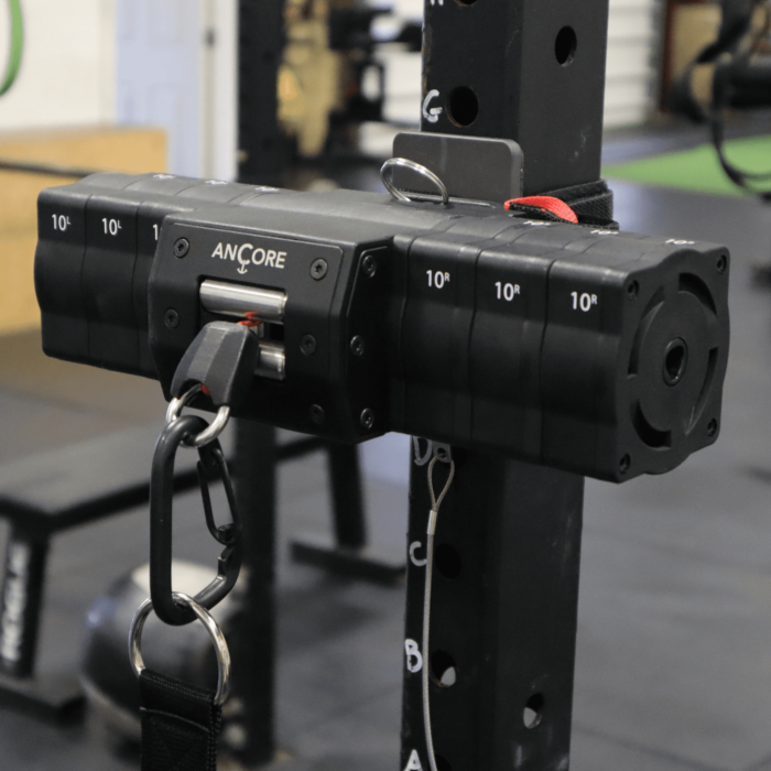 ANCORE PRO - Imagen 2