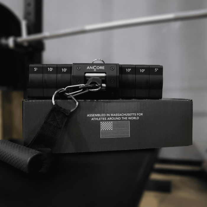 ANCORE PRO - Imagen 3