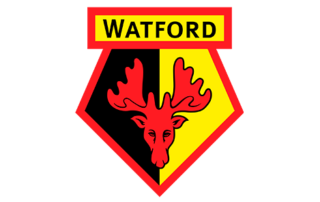 Fitness Home 21 | Fitness Home