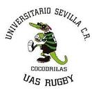 Sinergias 30 | Sinergias