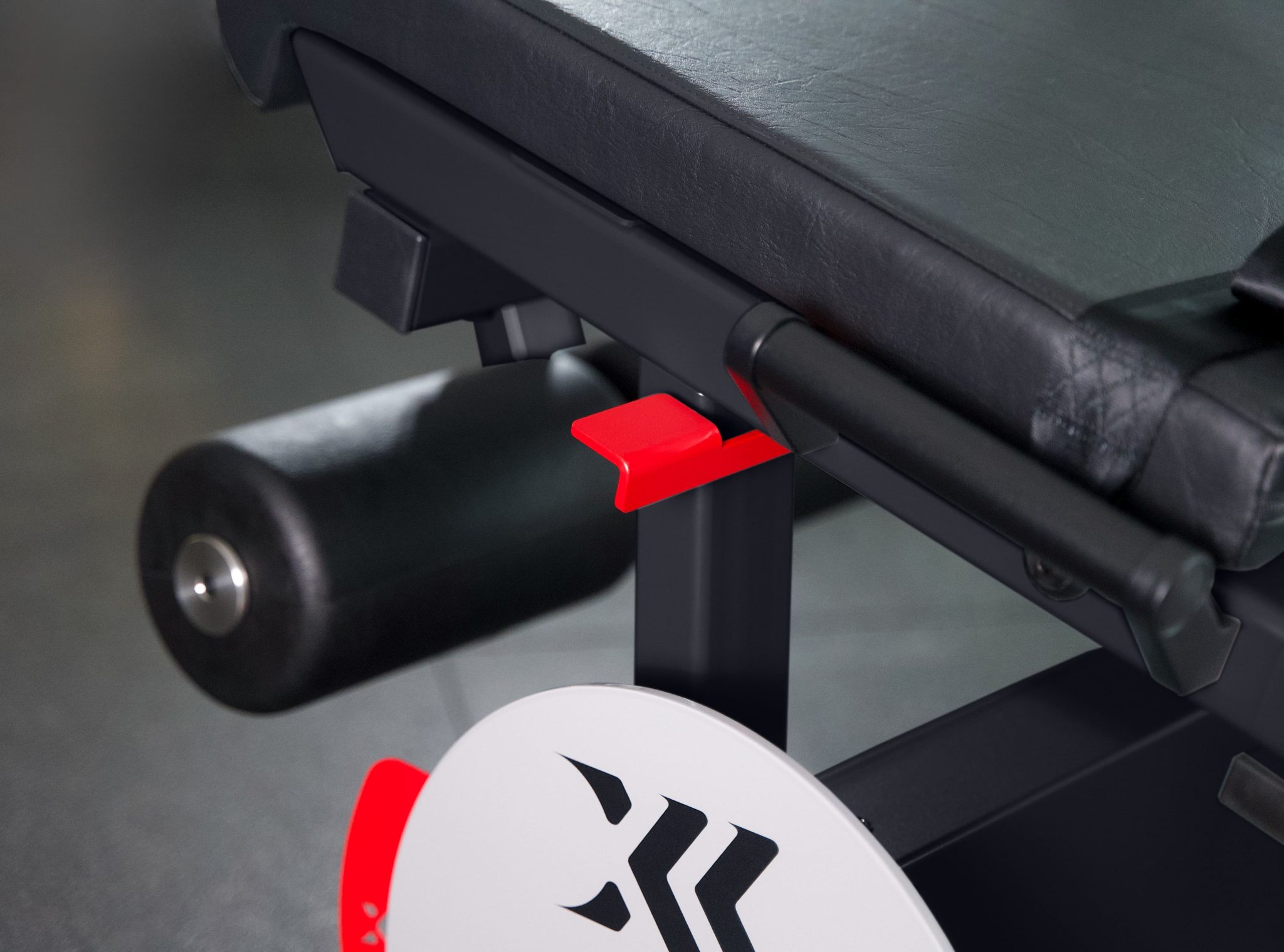 LegExx EXXENTRIC 5 LegExx EXXENTRIC - Imagen 4