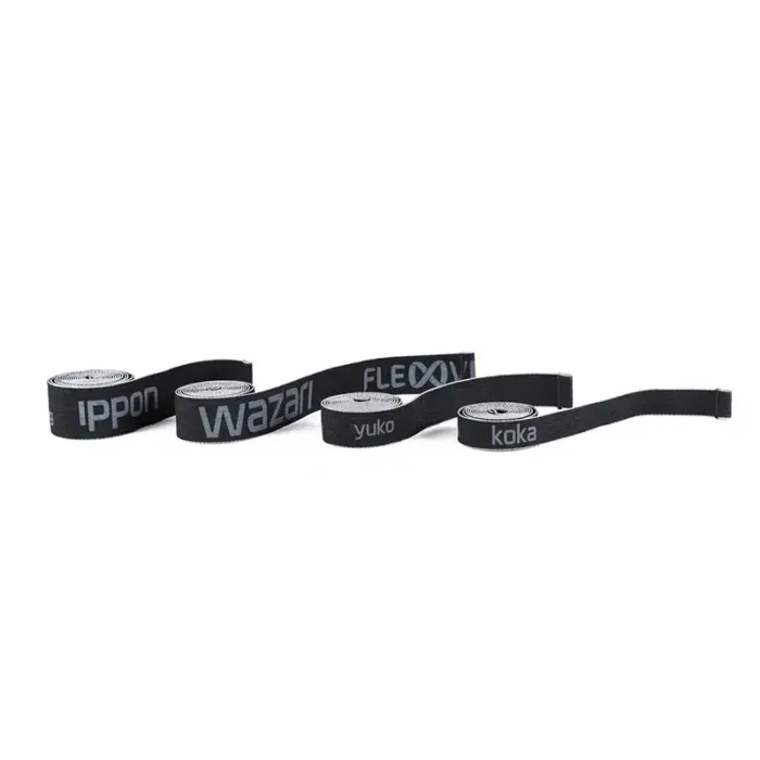 FLEXVIT Sparring (pack de 4 )
