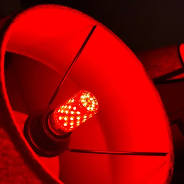 Bombilla Luz Roja Active Bulb LED 5 Bombilla Luz Roja Active Bulb LED - Imagen 4